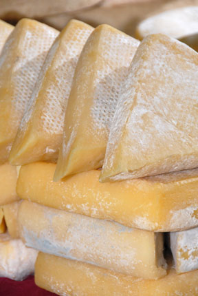 start_2011-formaggi_288.jpg start_2011-formaggi_288.jpg