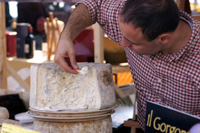 start_2011-gorgonzola_288.jpg