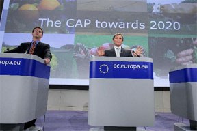 start_2011-ciolos_cap_288.jpg