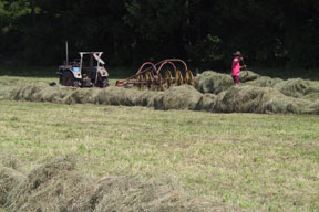 start_2011-landwirtschaft288.jpg start_2011-landwirtschaft288.jpg