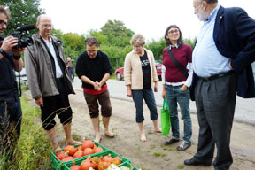 aktionen-ernteergebnisse.jpg aktionen-ernteergebnisse.jpg