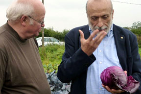 aktionen-kniepkamp_petrini_ernte.jpg aktionen-kniepkamp_petrini_ernte.jpg