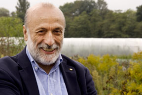 aktionen-petrini_ernte.jpg