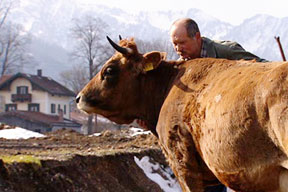 start_2011-haase_288.jpg start_2011-haase_288.jpg