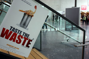 start_2011-taste_288.jpg