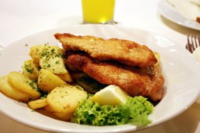 aktuelles-aktuelles_2012-schnitzel_288.jpg aktuelles-aktuelles_2012-schnitzel_288.jpg