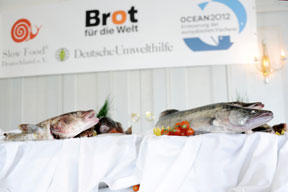 aktionen-aktion_ai_fischbett_288.jpg aktionen-aktion_ai_fischbett_288.jpg
