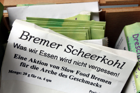 arche-samentuete_scheerkohl_288.jpg arche-samentuete_scheerkohl_288.jpg