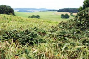 aktuelles-aktuelles_2013-opf_1_288.jpg aktuelles-aktuelles_2013-opf_1_288.jpg