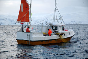 aktuelles-aktuelles_2013-fischer_288.jpg aktuelles-aktuelles_2013-fischer_288.jpg
