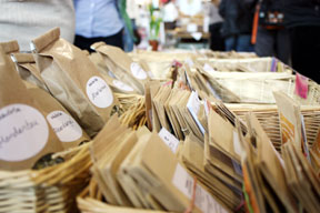 aktuelles-aktuelles_2013-markt_saatgut_2_heu_288.jpg aktuelles-aktuelles_2013-markt_saatgut_2_heu_288.jpg