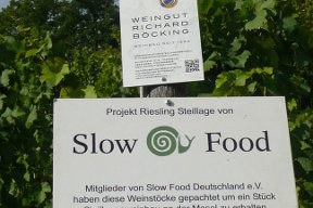 aktuelles-aktuelles_2013-slowfood_wegweiser_288.jpg