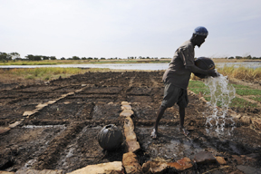 aktuelles-aktuelles_2013-afrik_kleinbauer_sfi.jpg aktuelles-aktuelles_2013-afrik_kleinbauer_sfi.jpg