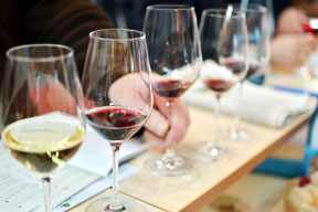 aktuelles-aktuelles_2013-vinothek_2.jpg aktuelles-aktuelles_2013-vinothek_2.jpg