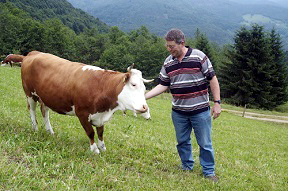 aktuelles-aktuelles_2013-hinterwaelder_welternaehrun.jpg aktuelles-aktuelles_2013-hinterwaelder_welternaehrun.jpg