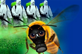 aktuelles-aktuelles_2014-campact_bienen_288.jpg aktuelles-aktuelles_2014-campact_bienen_288.jpg