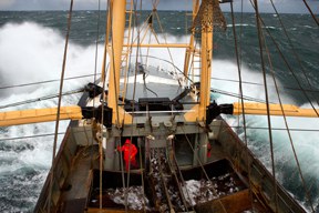aktuelles-aktuelles_2014-beam-trawler-netherlands-28.jpg