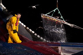 aktuelles-aktuelles_2014-fisherman-fishing-at-night-france-ocean2012-corey-arnold-288.jpg