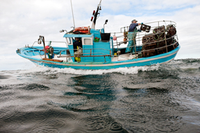 aktuelles-aktuelles_2014-artisanal-fisherman_1_288.jpg aktuelles-aktuelles_2014-artisanal-fisherman_1_288.jpg