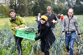 aktionen_2014-kassel_rettet_3.jpg aktionen_2014-kassel_rettet_3.jpg