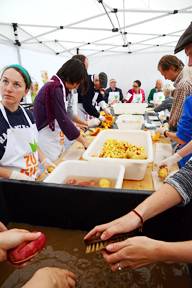 aktionen_2014-kassel_rettet_9jpg.jpg aktionen_2014-kassel_rettet_9jpg.jpg