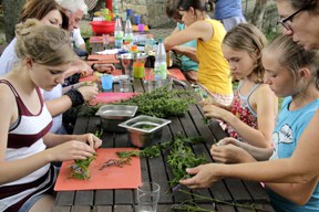 kinder-_und_jugendliche-kiko_fortbildung_4_288.jpg