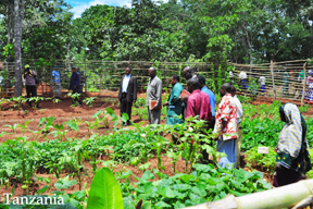 aktuelles-aktuelles_2014-slow_food_for_africa_288.jpg aktuelles-aktuelles_2014-slow_food_for_africa_288.jpg
