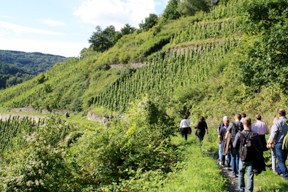 rebstockpatenschaften-rebstockpatenfest_2014_2.jpg