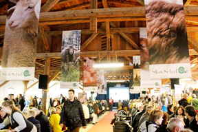 aktuelles-aktuelles_2014-slow_schaf_halle_288.jpg aktuelles-aktuelles_2014-slow_schaf_halle_288.jpg