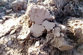 aktuelles-aktuelles_2014-ackerboden_288.jpg aktuelles-aktuelles_2014-ackerboden_288.jpg