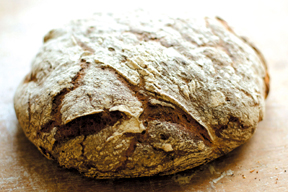 aktuelles-aktuelles_2014-brotlaib_hofpfisterei288.jpg aktuelles-aktuelles_2014-brotlaib_hofpfisterei288.jpg