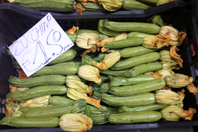 aktuelles-aktuelles_2015-bitter_zucchini_288.jpg aktuelles-aktuelles_2015-bitter_zucchini_288.jpg