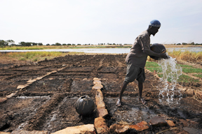 aktuelles-aktuelles_2014-bauer_afrika_288.jpg aktuelles-aktuelles_2014-bauer_afrika_288.jpg