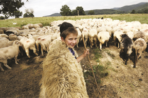 aktuelles-aktuelles_2015-bal7995_archiv-slow-food_288.jpg