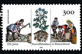 aktuelles-aktuelles_2015-kartoffelanbau-briefmarke_288.jpg