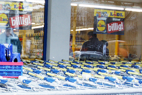 aktuelles-aktuelles_2015-lidl_288_2.jpg