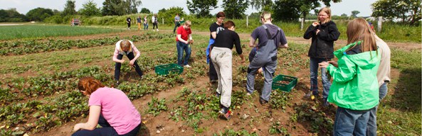 aktionen_2016-erntetour_potsdam_593x192_1.jpg