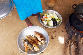 aktionen_2016-fisch_senegal_wiedemann_288_1.jpg