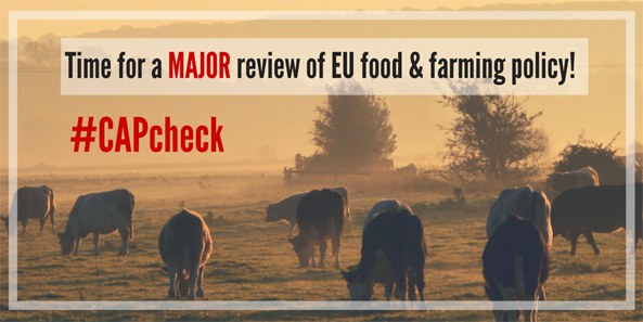 aktuelles-aktuelles_2016-time-for-a-major-review-of-eu-food-and-farming-policy_593.jpg