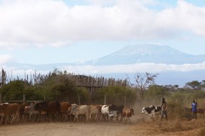 aktuelles-aktuelles_2016-massai_assheuer_288_1.jpg