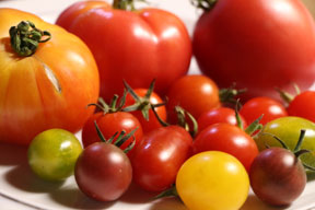 aktuelles-aktuelles_2016-tomaten_vielfalt_margret_artzt_288.jpg