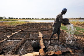 aktuelles-aktuelles_2016-bauer_afrika_sf_archiv_288.jpg