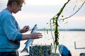 Fish Dependence Day 2017: "Kein Klima für Fische!"