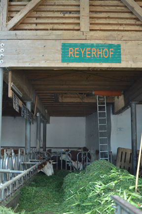 aktuelles-aktuelles_2017-reyerhof_1_88.jpg aktuelles-aktuelles_2017-reyerhof_1_88.jpg