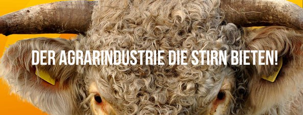 aktionen_2018-fb_banner_die_stirn_593.jpg