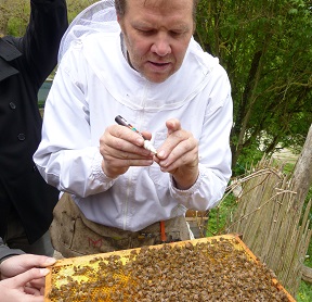 25_jahre_slow_food_deutschland-1_sfd_interview_grolm_bei_der_arbeit_c_rose_schweizer_web.jpg