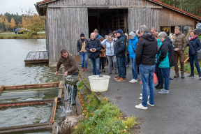 aktuelles-aktuelles_2018-karpfen-288-1.jpg