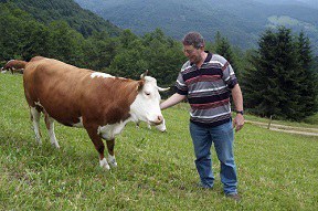 Streitschrift: "Landwirtschaft am Scheideweg"