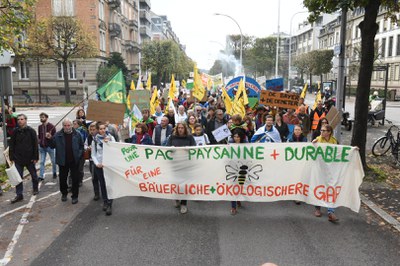 Demonstration zum EU-Parlament: Mit den Subventionen die Bauernhöfe retten und die europäische Agrarwende umsetzen! Demonstration zum EU-Parlament: Mit den Subventionen die Bauernhöfe retten und die europäische Agrarwende umsetzen!