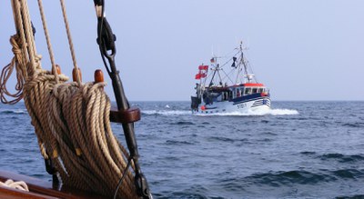 Ostsee-Fanggrenzen 2020: Vollständige Nachhaltigkeit aller Fischbestände trotz drastischer Quotenkürzungen verfehlt Ostsee-Fanggrenzen 2020: Vollständige Nachhaltigkeit aller Fischbestände trotz drastischer Quotenkürzungen verfehlt